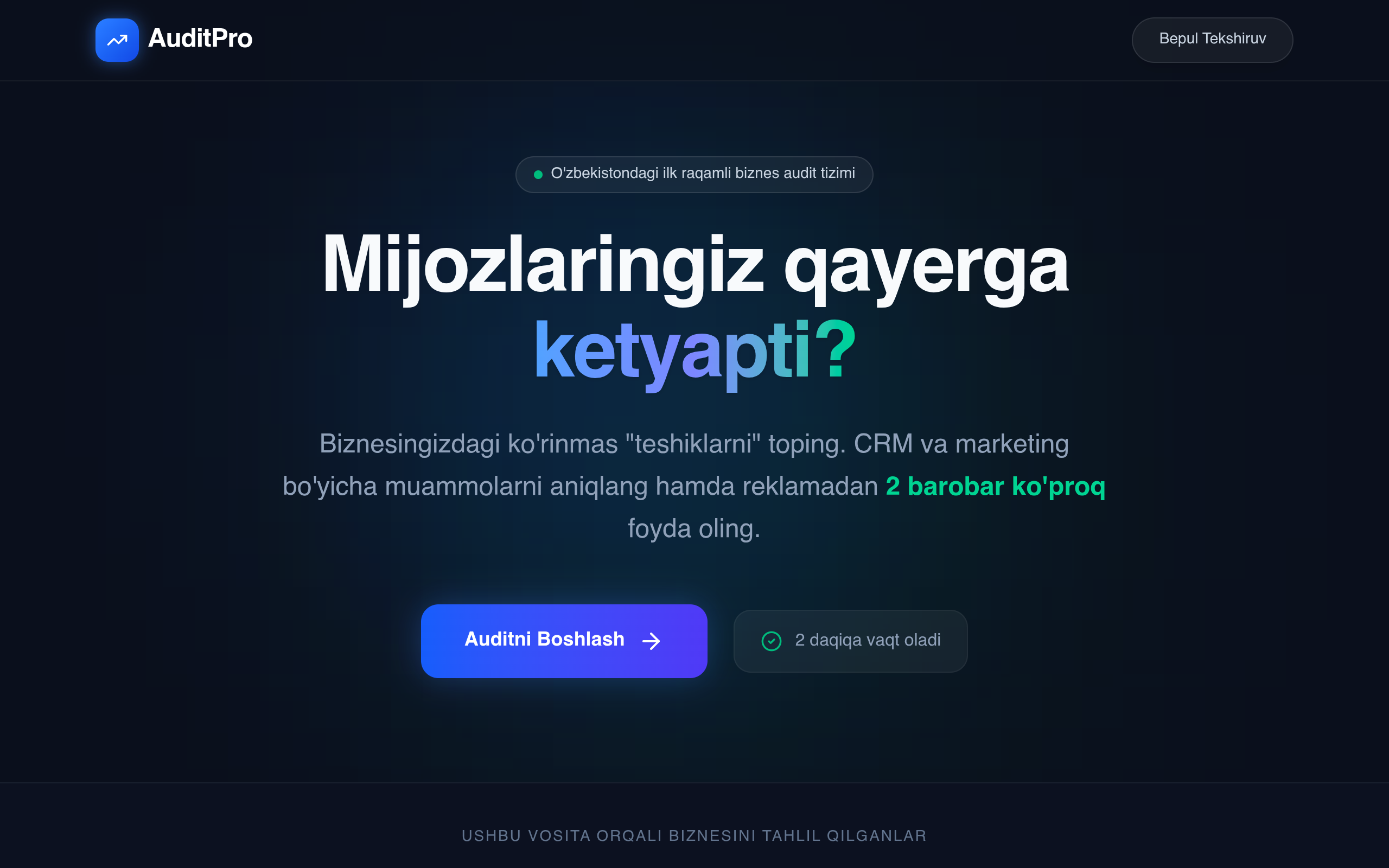 AuditPro — skrinshot